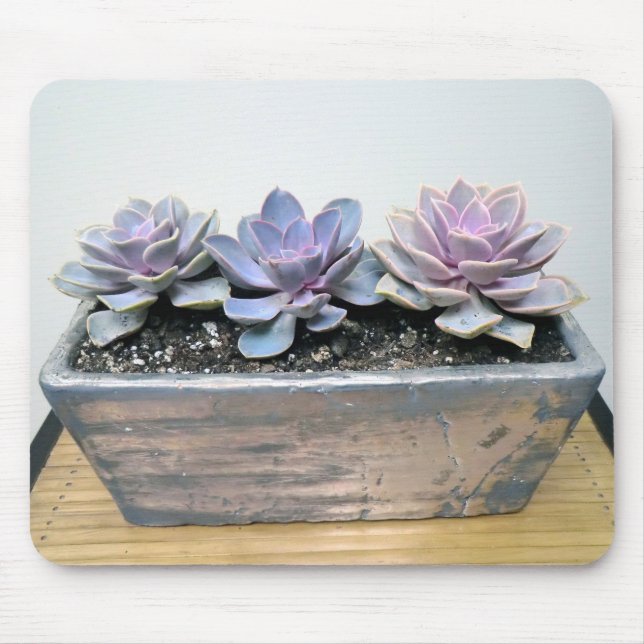 Tapis De Souris Succulent en argent (Devant)