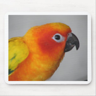 Tapis De Souris Sun Conure