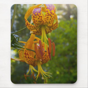 Tapis De Souris Sunburst de Humboldt Lilies