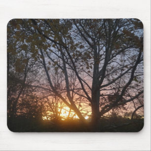 Tapis De Souris Sunrise Sycamore