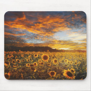 Tapis De Souris Sunset SunflowerField