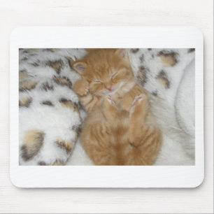Tapis De Souris Super mignon Ginger Sleeping Kitten