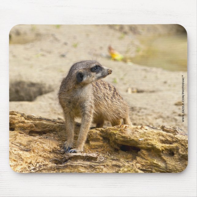Tapis De Souris Suricate (Devant)