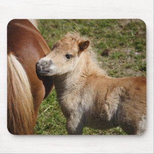 Tapis De Souris Sweet Haflinger Foal