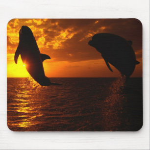 Tapis De Souris Symphonie de dauphins au coucher du soleil