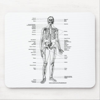 TAPIS DE SOURIS T-SHIRTS ET CADEAUX SQUELETTIQUES D'ANATOMIE