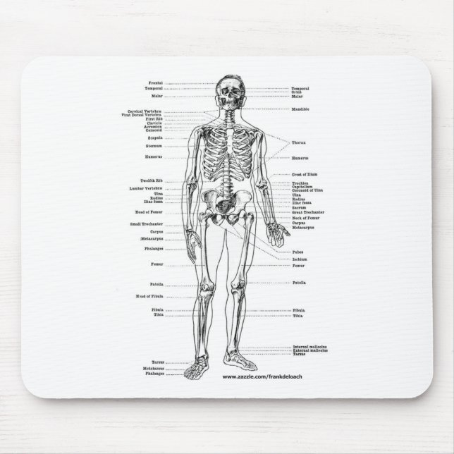 TAPIS DE SOURIS T-SHIRTS ET CADEAUX SQUELETTIQUES D'ANATOMIE (Devant)