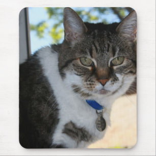 Tapis De Souris Tabby Chat avec jolie souris d'yeux