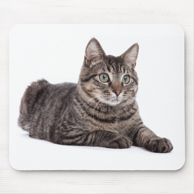 Tapis De Souris Tabby Gris (Devant)