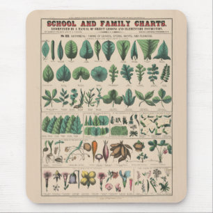 Tapis De Souris Tableau antique de l'école botanique, nature vinta
