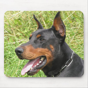 Tapis de souris tableau noir chiot Doberman Pinsch