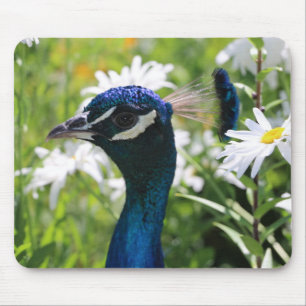Tapis De Souris Tablette de souris Peacock et Daisy