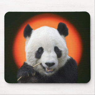TAPIS DE SOURIS TAI SHAN
