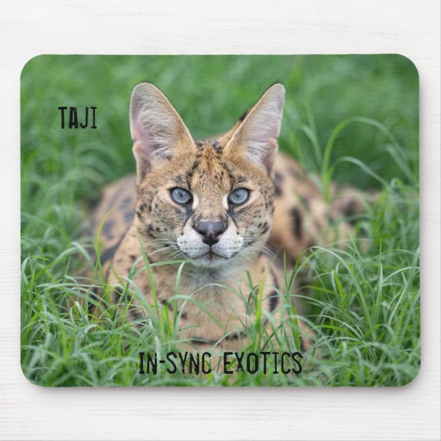 Tapis De Souris Taji - (Devant)