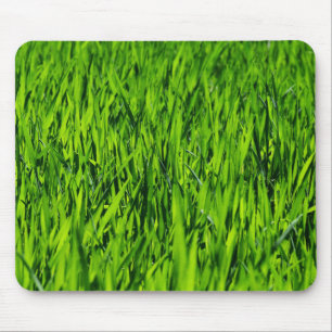Tapis De Souris Tall Blades of Grass