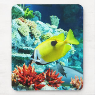 Tapis De Souris Tang