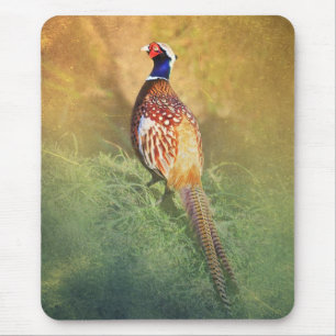 Tapis De Souris Tapis masculin de souris de faisan