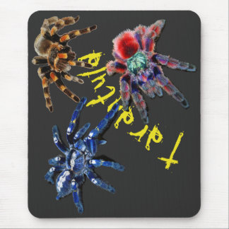 Tapis De Souris Tarantula spider