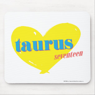Tapis De Souris Taureau 3