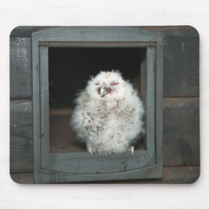 Tapis De Souris Tawny Owl