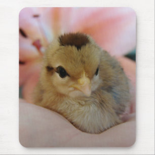 Tapis De Souris Teeny dans ma main