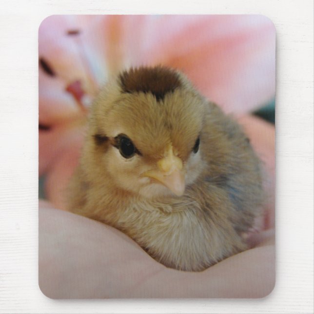 Tapis De Souris Teeny dans ma main (Devant)