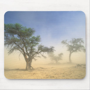 Tapis De Souris Tempête De Sable Dans Le Désert Du Kalahari, Kga