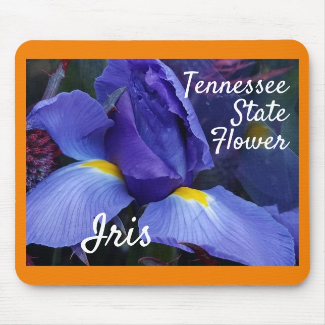 Tapis De Souris Tennessee State Flower Iris Nature Photographie (Devant)
