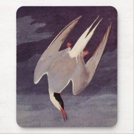 Tapis De Souris Terne arctique par John James Audubon, Oiseaux Vin