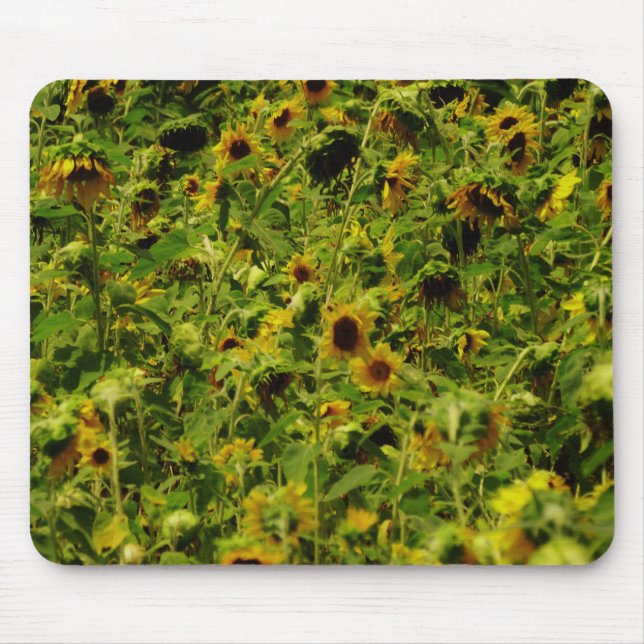 Tapis De Souris Terrain de tournesol (Devant)