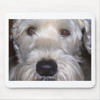 Tapis De Souris Terrier blond comme les blés doucement enduit