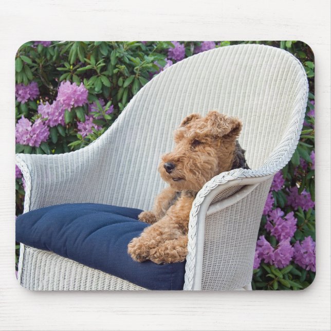 Tapis De Souris Terrier gallois en osier (Devant)