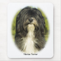 Terrier tibétain