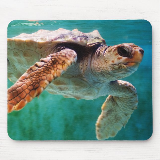 Tapis De Souris Tête de bois #2 Mousepad (Devant)
