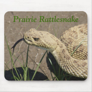 Tapis De Souris Tête de serpent à sonnette de prairie R8