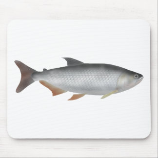 Tapis De Souris Tiete tetra