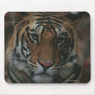 Tapis De Souris Tiger