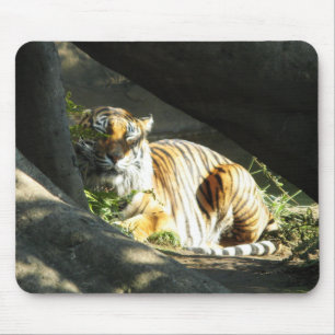 Tapis De Souris Tiger Catnap