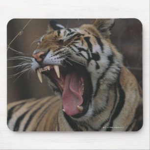 Tapis De Souris Tiger Cub Yawning