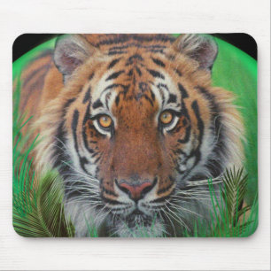 Tapis De Souris Tiger de nuit