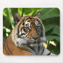 Tapis De Souris Tiger Face Mousepad