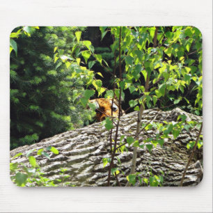 Tapis de souris Tiger Peek-a-boo