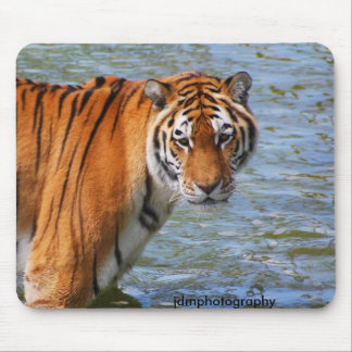 Tapis De Souris Tigre