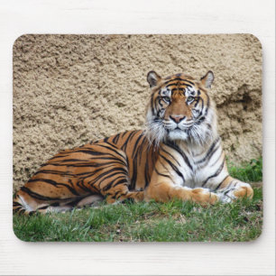 Tapis De Souris tigre 7 de sumatran