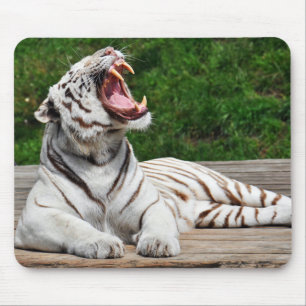 Tapis De Souris Tigre Blanc, Tigre du Bengale Sous-main