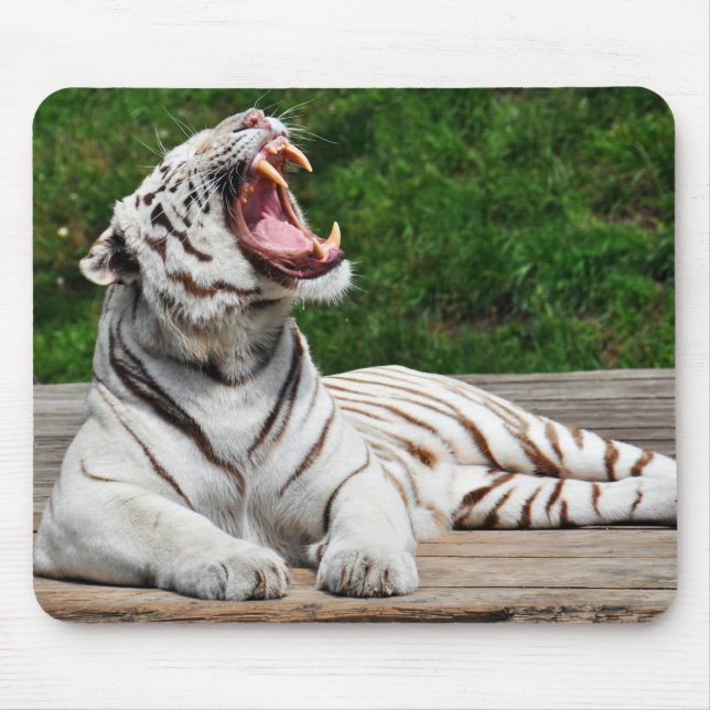Tapis De Souris Tigre Blanc, Tigre du Bengale Sous-main (Devant)