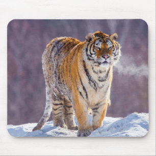 Tapis De Souris Tigre de Sibérie dans la neige, Chine