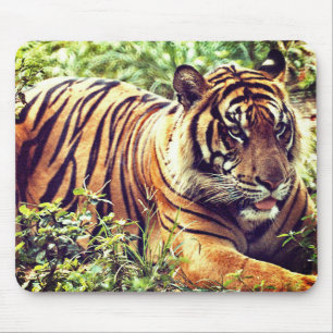 Tapis De Souris Tigre de Sumatra moderne Mousepad