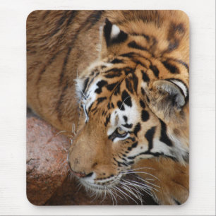 Tapis De Souris Tigre du Bengale