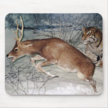 Tigre pourchassant le pavé de souris de cerf
